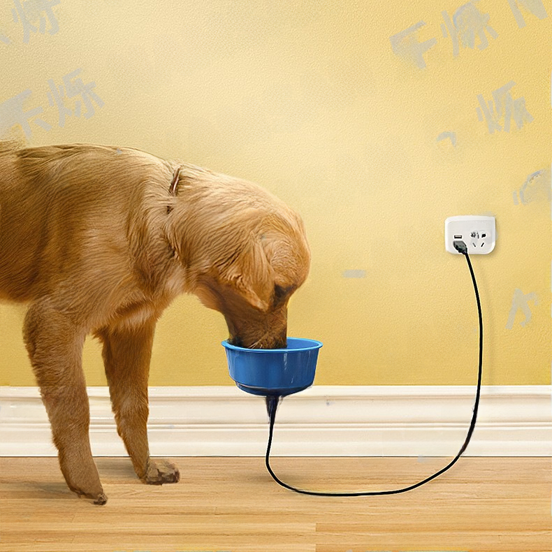 Heated Dog Food & Water Bowl
