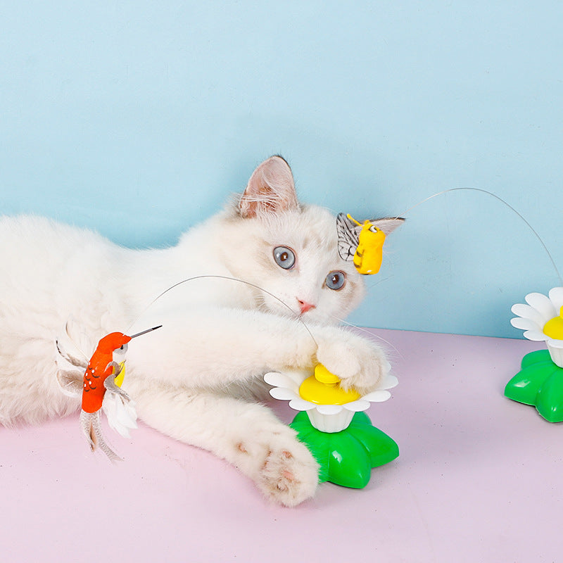 Electric Butterfly Cat Teaser Toy