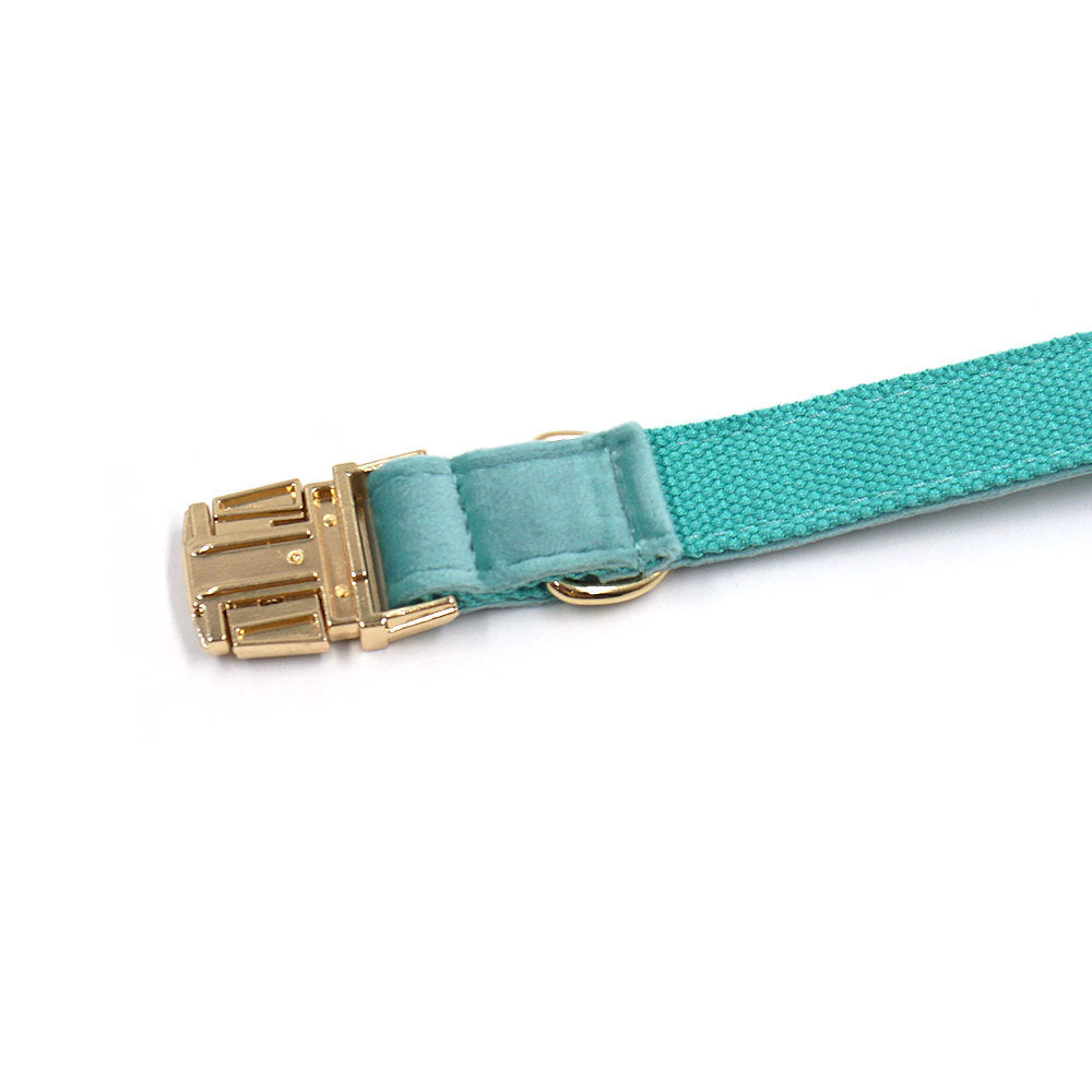 Lake Green Velvet Pet Collar with Gold Buckle