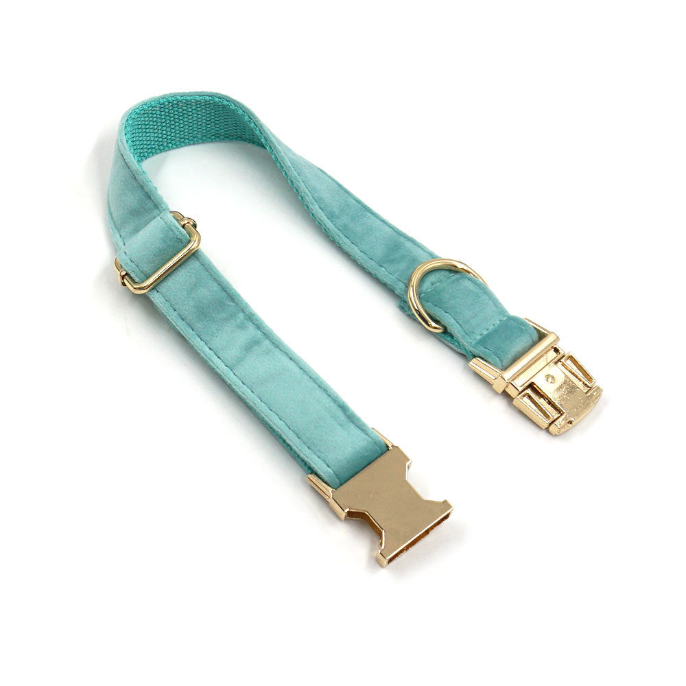 Lake Green Velvet Pet Collar with Gold Buckle