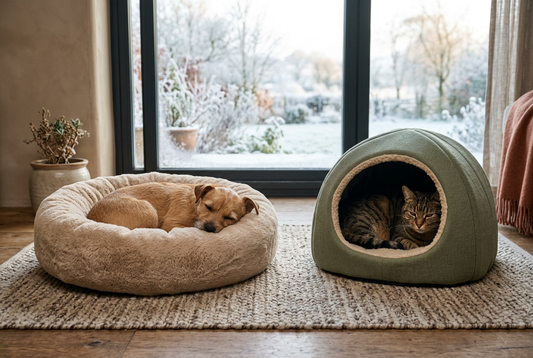 When the Cold Snap Hits: Winter Prep for Dogs and Cats