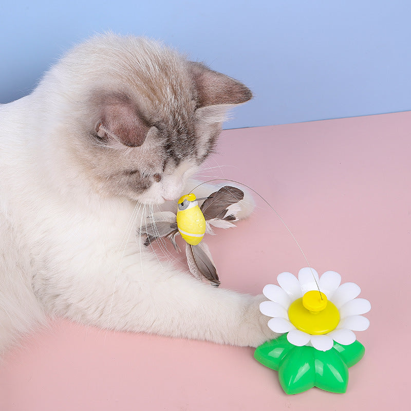 Electric Butterfly Cat Teaser Toy