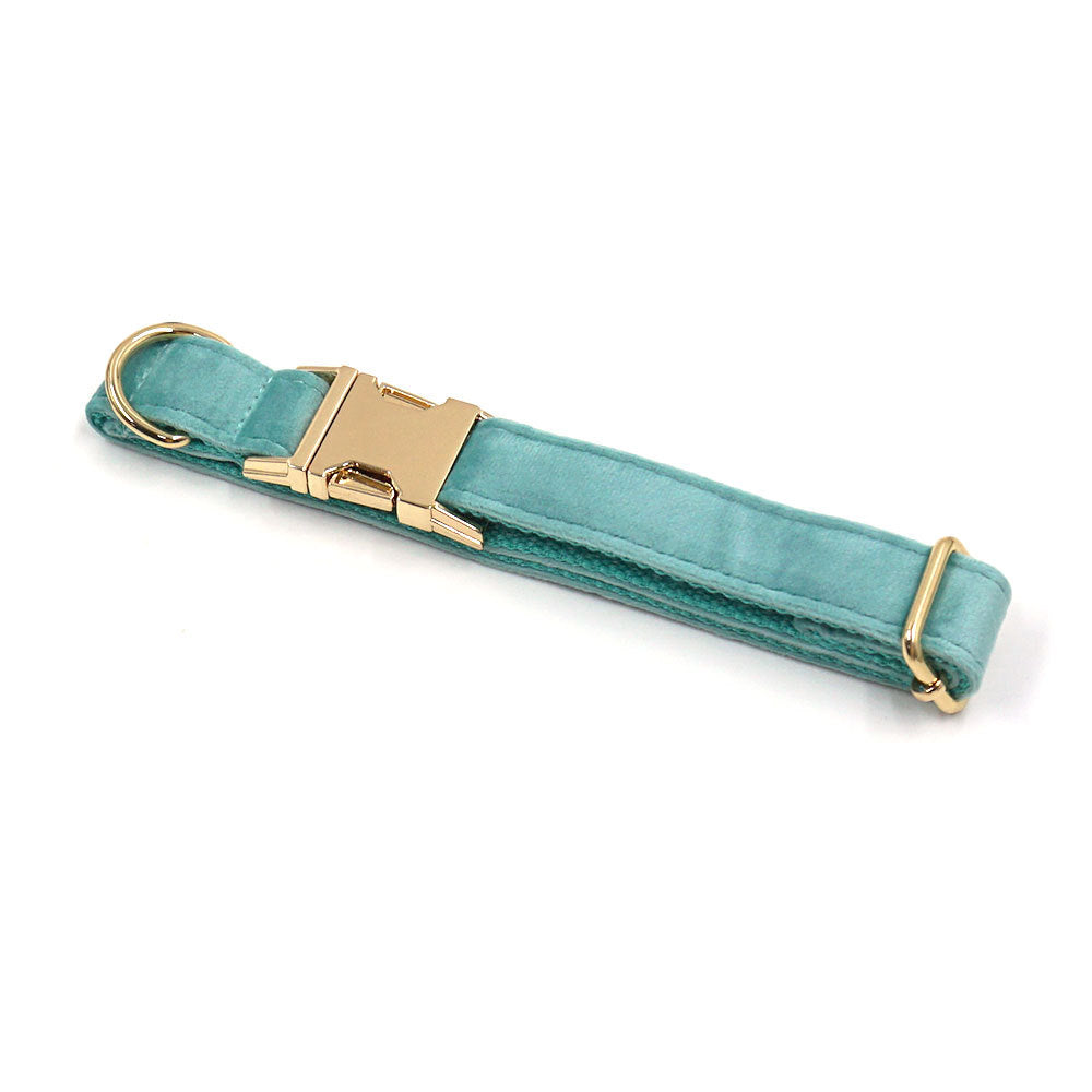 Lake Green Velvet Pet Collar with Gold Buckle