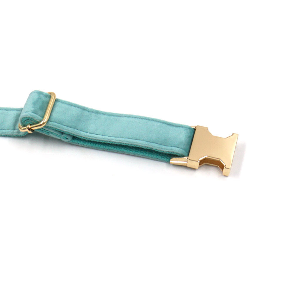 Lake Green Velvet Pet Collar with Gold Buckle