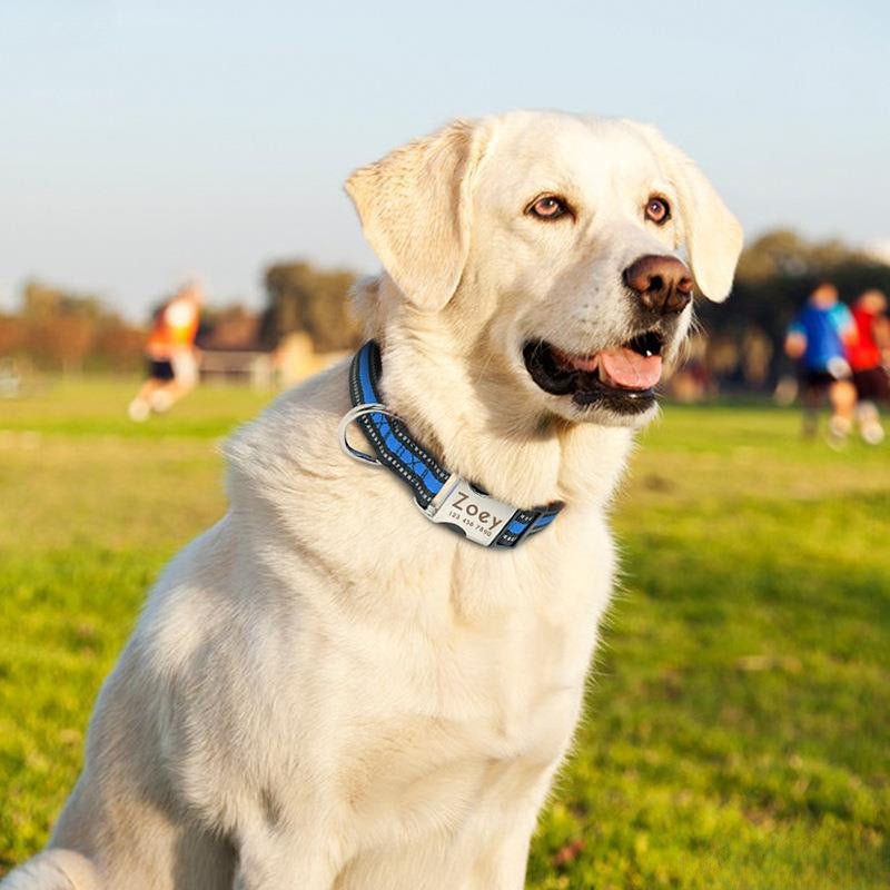 Reflective Engravable Dog Collar