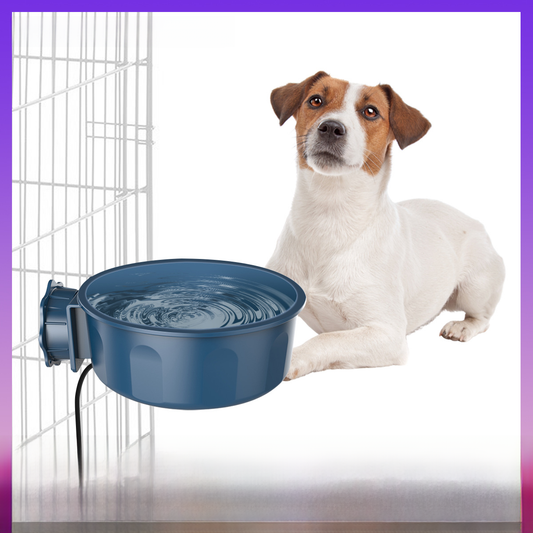 Heated Dog Food & Water Bowl